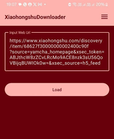 Input URL to Xiaohongshu downloader 1