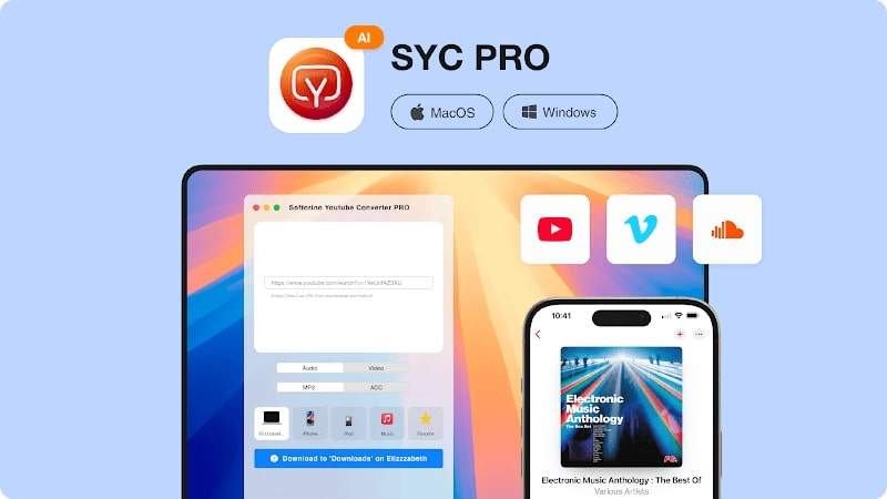 Install ViWizard Audio Capture