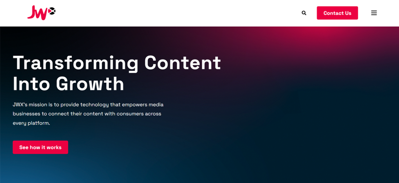 Jw Player Downloader Interface