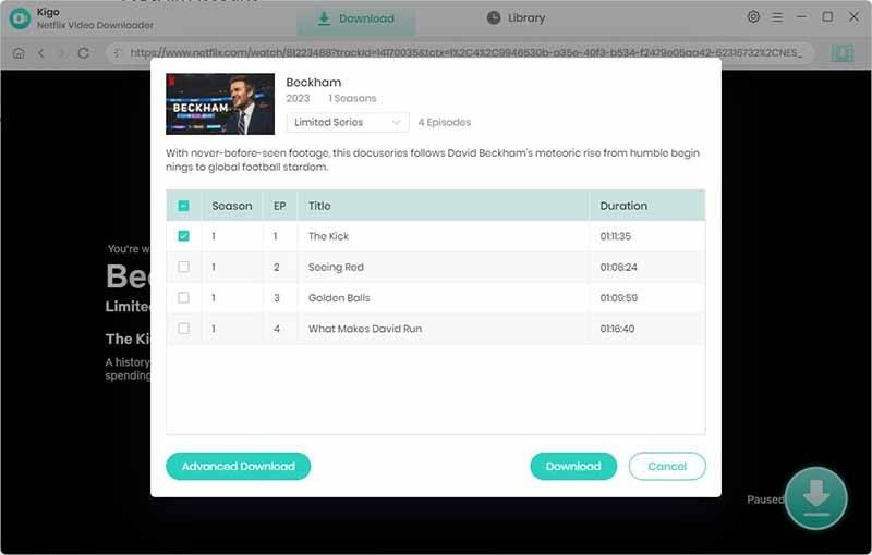 kigo select netflix video