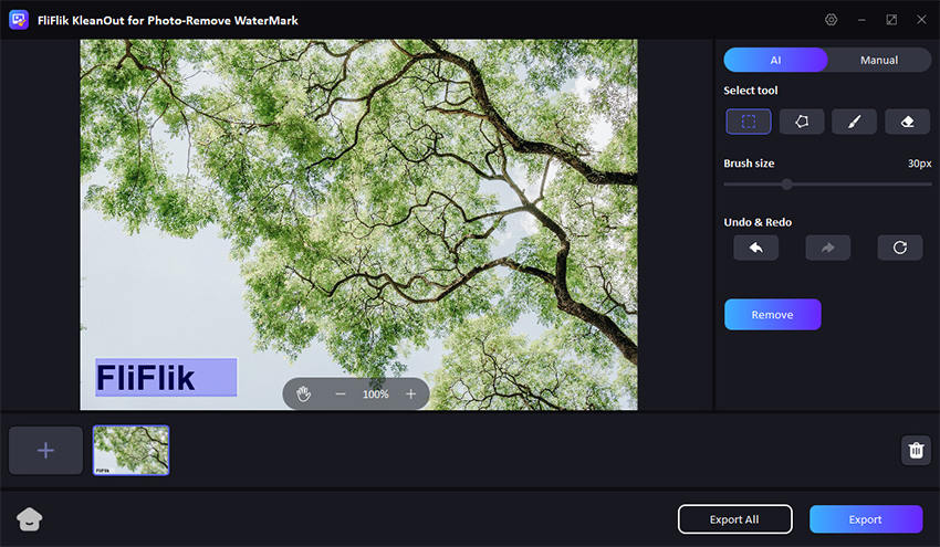 select rect tool to remove watermark