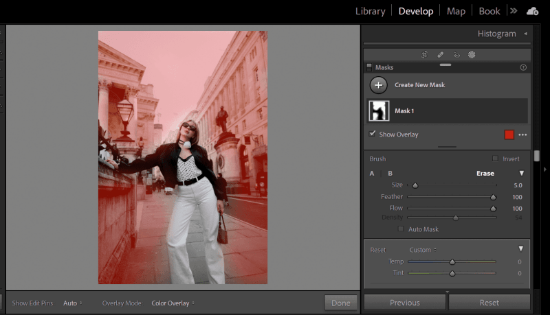 라이트룸에서 사진을 흐리게 만드는 방법