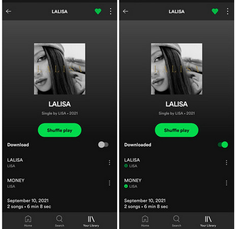 Listen Spotify Offline with Premium on Android