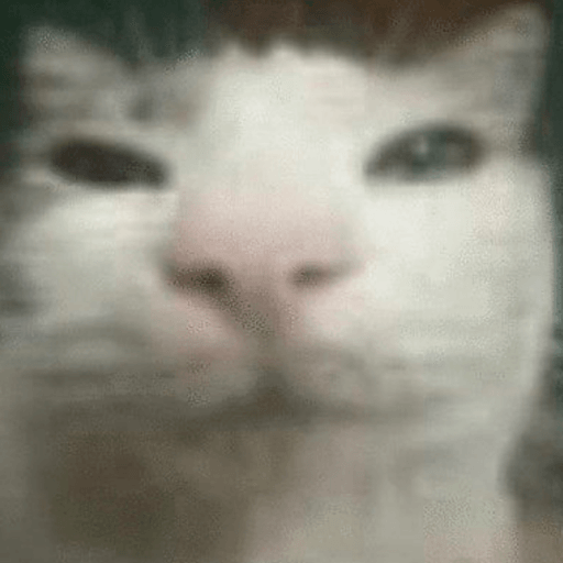 Low Quality Cat Meme