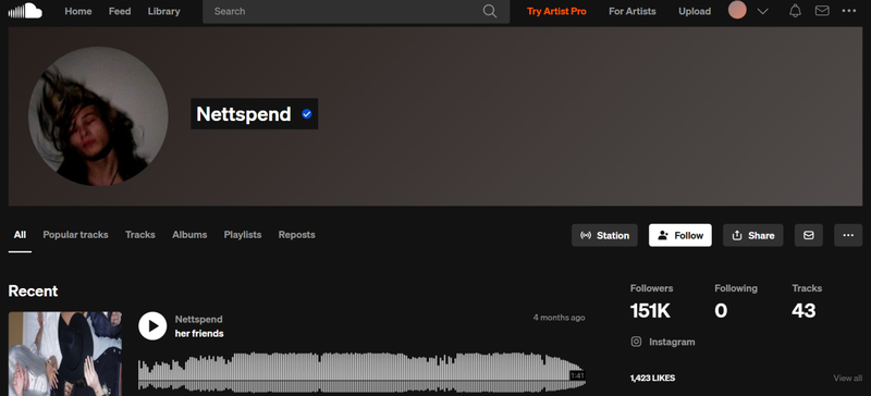 Soundcloud Rapper Nettspend