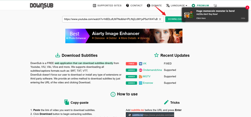 Paste Youtube Link into Downsub