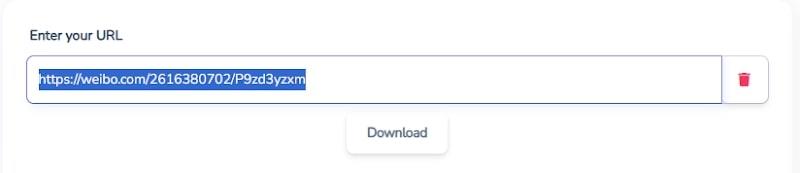 Paste link in Weibo downloader