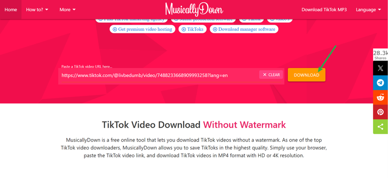 Paste Link Musicallydown