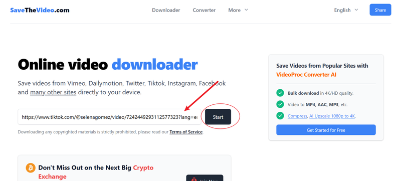 Paste Video Link into Savethevideo Input Box