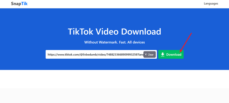 Paste Link Using Snaptik