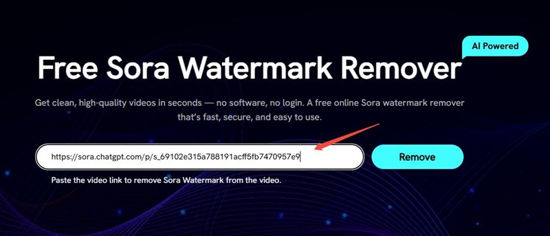 Paste Link to Fliflik Sora Watermark Remover