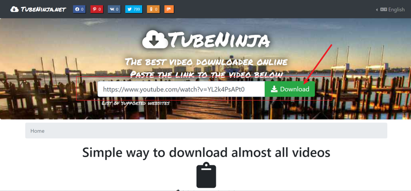 Pasting Video Url into Tubeninja Input Field