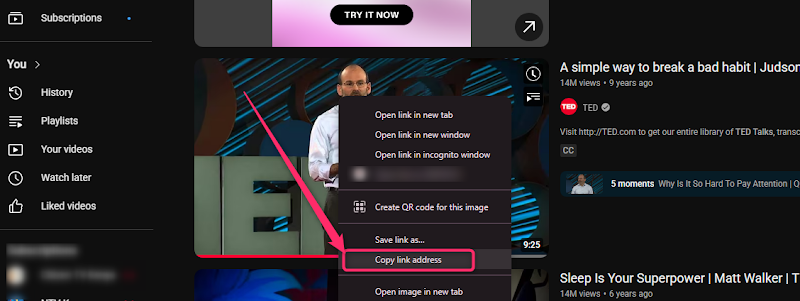 Paste the YouTube Video URL