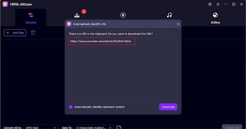 paste url into program fliflik