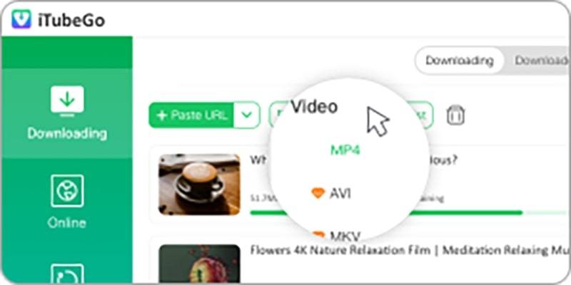 paste url select format itubego