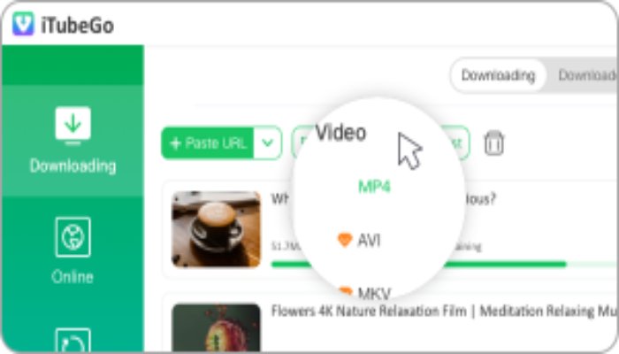 paste url select format itubego