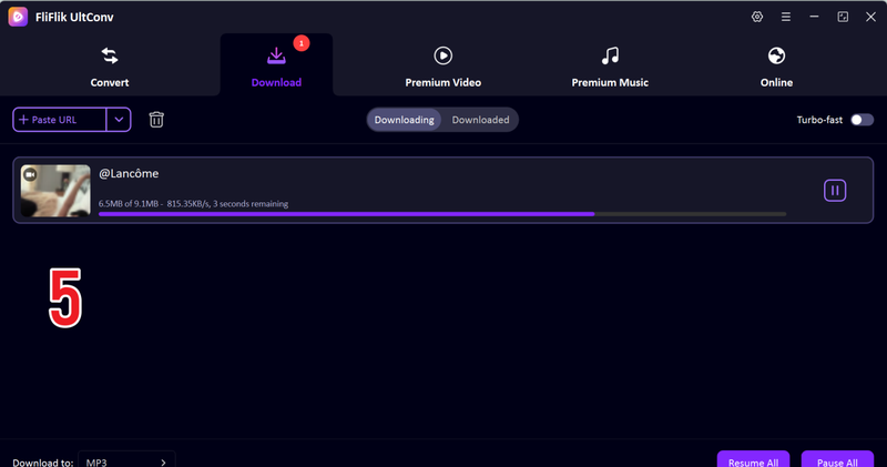 Paste Tiktok Video Link Manually Ultconv