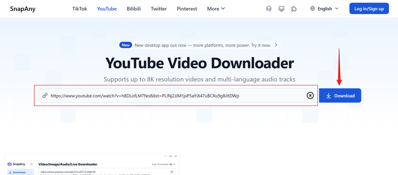 Paste Youtube Link Snapany