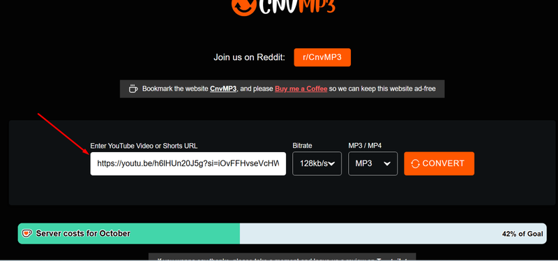 Paste Youtube Url in Cnvmp3