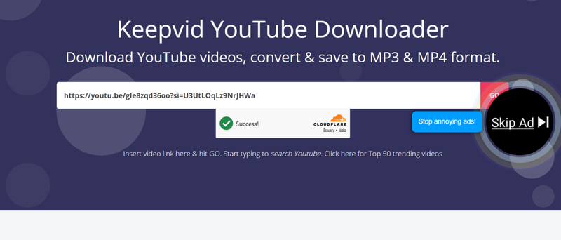 Paste Youtube Video Link in Keepvid