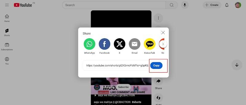 paste youtube video link