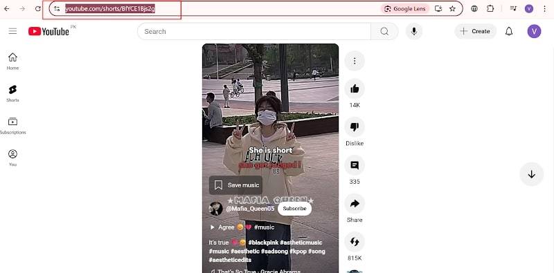 Paste YouTube video URL
