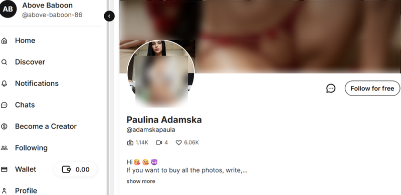 Paulina Adamska Fanvue Ai Model
