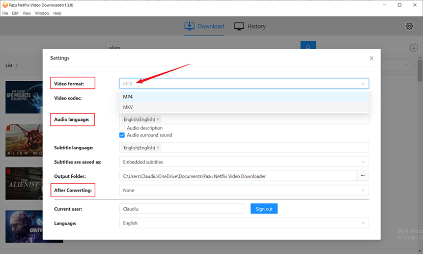 netflix downloader safe