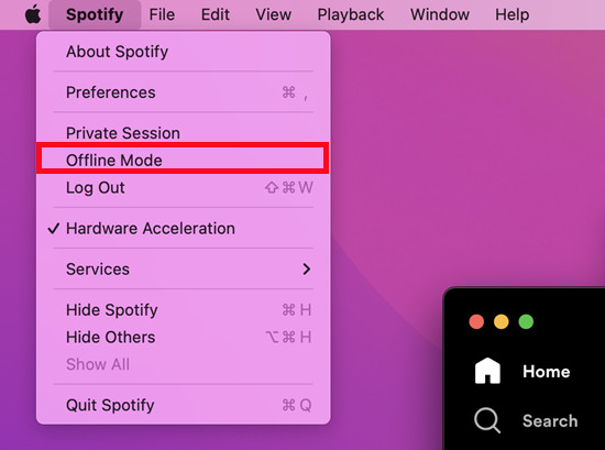 Play Spotify on Phone and Computer