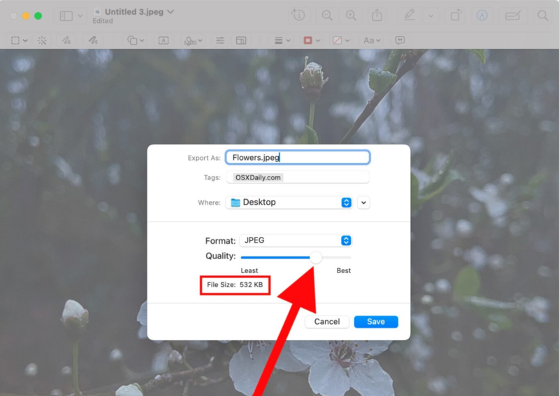 Adjust Jpeg Quality Slider in Preview App on Mac
