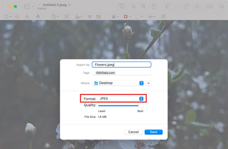 Select Jpeg Format in Preview App on Mac