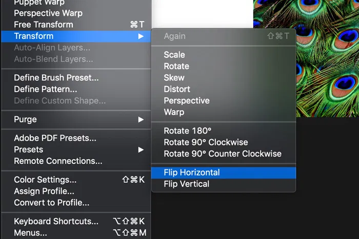 PS Flip Image