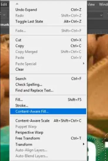 adobe stock remove watermark