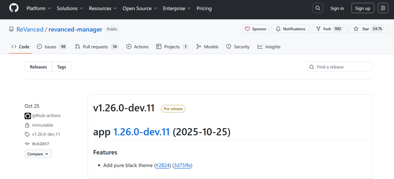 Revanced Spotify Interface