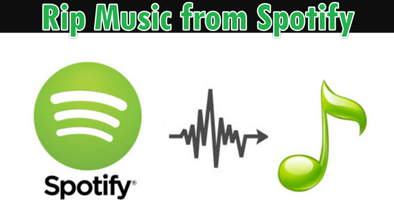 Rip Music from Spotify
