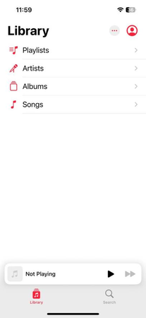 Save All Apple Music at Once in Iphone