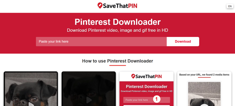 Savethatpin Pinterest Gif Downloader