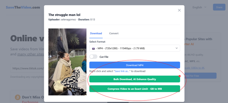 Choose Preferred Format and Quality in Savethevideo