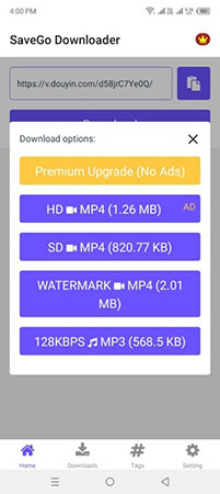 Selects MP3 or MP4