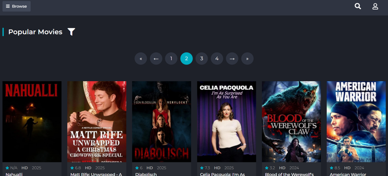 Sflix Website