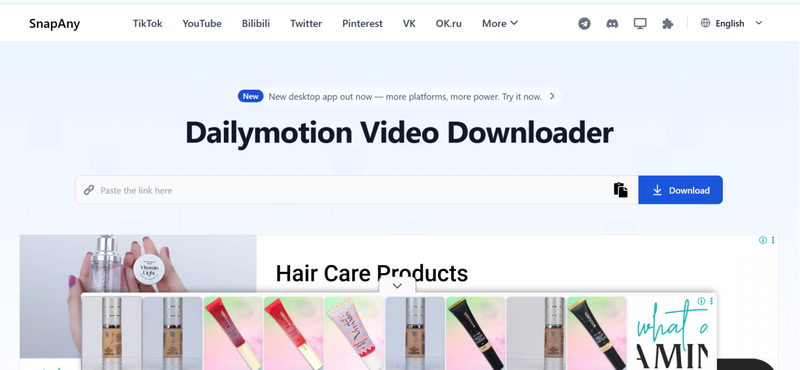 Snapany Dailymotion Downloader Online