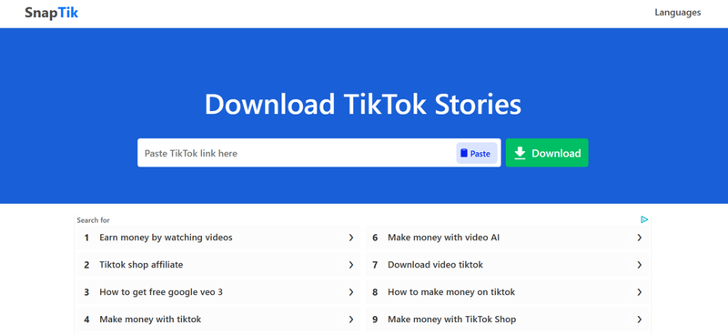 Snaptik Tiktok Story Viewer Online Tool