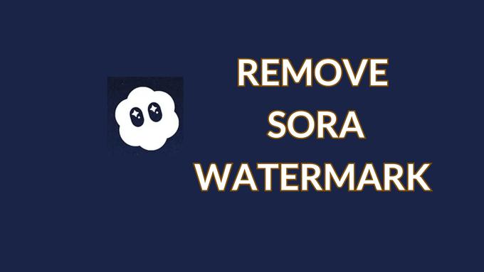 Sora Watermark Remover