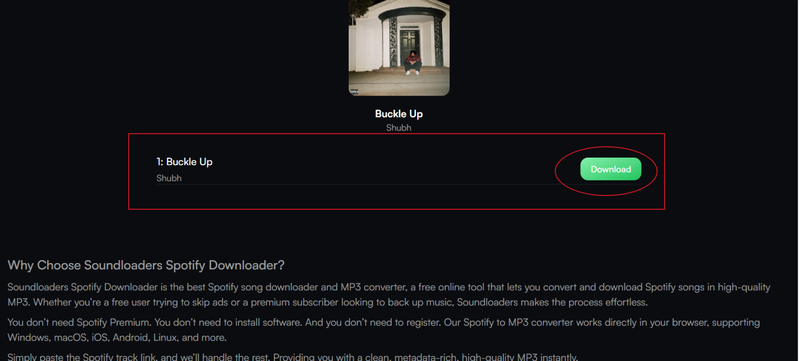 Click Download Button on Soundloaders to Start Music Download