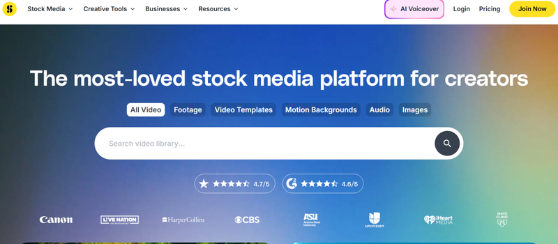 Storyblocks Video Downloader Interface