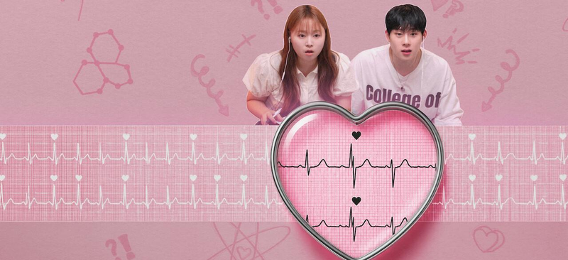 the love lab korean dating show