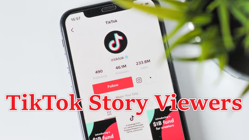 Tiktok Story Viewer