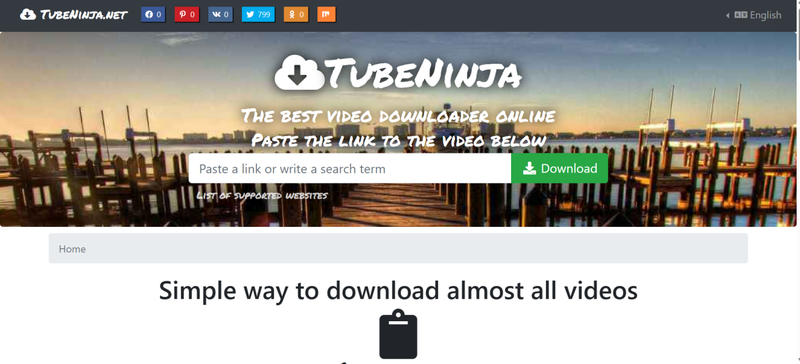 Tubeninja Official Homepage Opened in a Browser Window