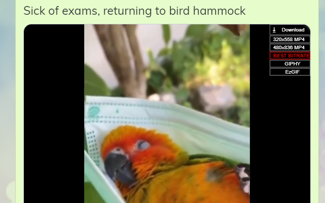 Twitter Gif Download Button from Extension