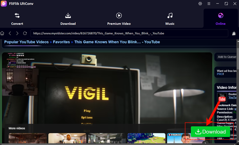View Myvidster Video Inside Built in Browser